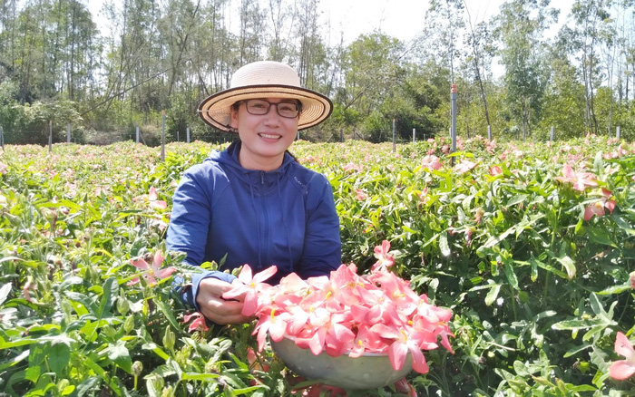 Chị Phạm Thị Tư giới thiệu hoa sâm bố chính ngay tại vườn của mình