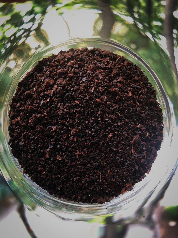 Sản phẩm của Atomo