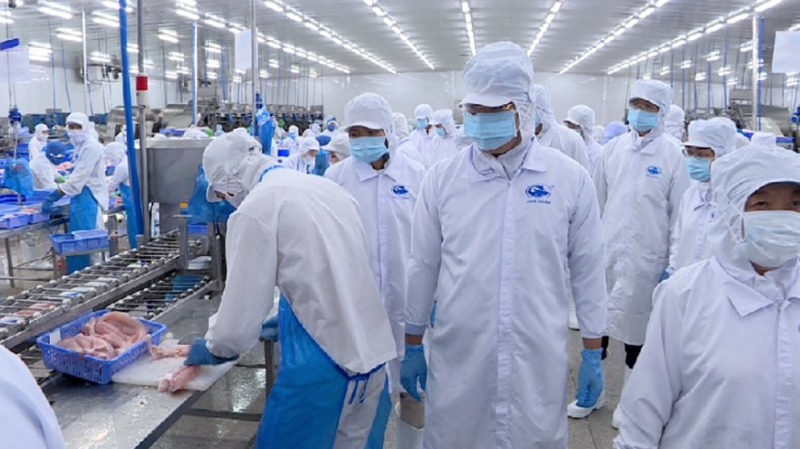 Bên trong một nhà máy chế biến thuỷ sản của Vĩnh Hoàn. Ảnh: Vĩnh Hoàn.