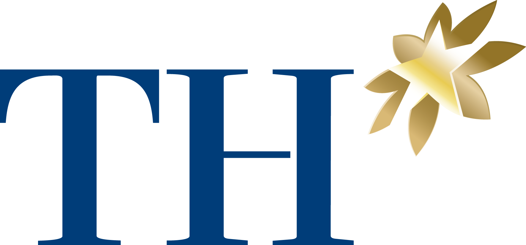 Tập đoàn TH