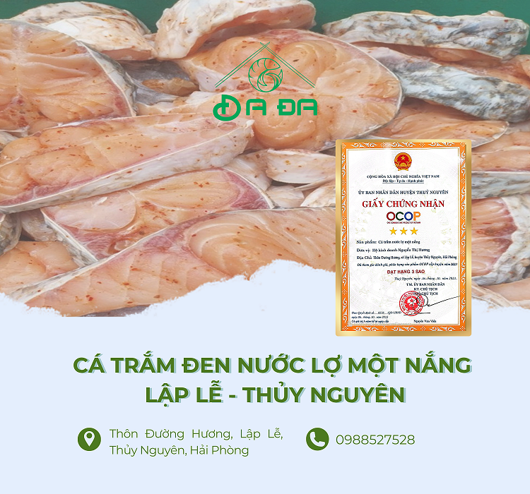 Xây dựng và phát triển thương hiệu "Cá trắm đen nước lợ một nắng Lập Lễ - Thuỷ Nguyên"