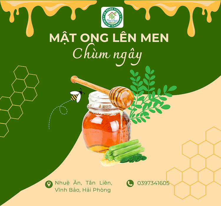 Trồng và chế biến các sản phẩm từ cây chùm ngây